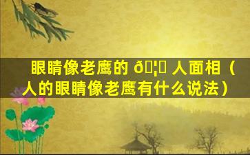 眼睛像老鹰的 🦟 人面相（人的眼睛像老鹰有什么说法）